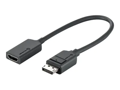 ALOGIC Elements Series - Videoadapter - DisplayPort männlich zu HDMI weiblich - 20 cm - Dunkelgrau - Passiv, Support von 4K 30 Hz, unterstützt 1920 x 1080 bei 144 Hz, Unterstützung für 3D-Video