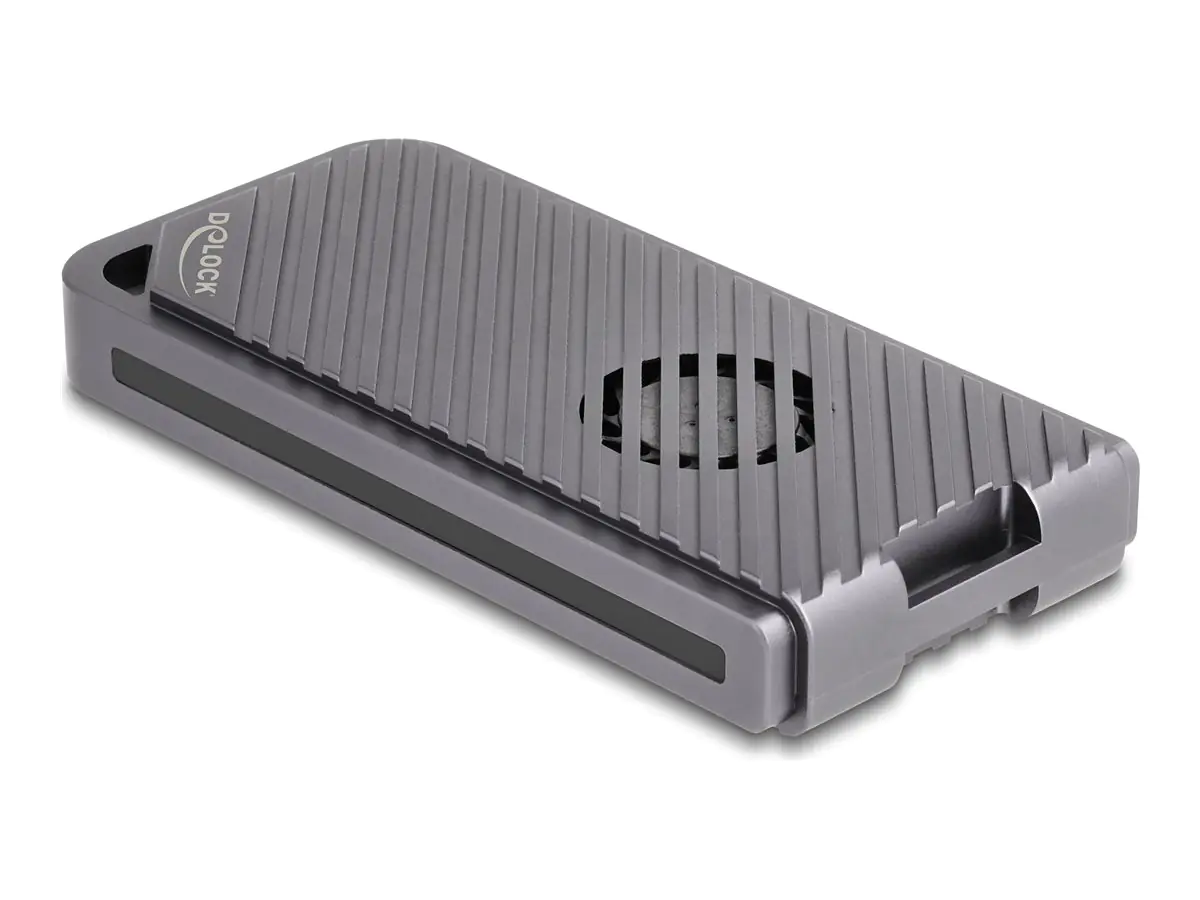 Delock Speichergehäuse - 40 Gbps, Gaming-Stil