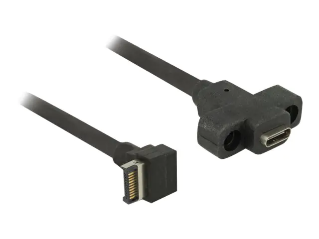 Delock - USB-Kabel intern auf extern - 20-poliger USB 3.0 Kopf (M) gewinkelt bis USB-C (W) Paneel montierbar - 45 cm