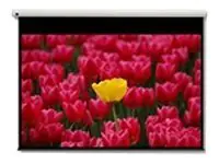 Optoma Panoview DE-9120EGA - Leinwand - motorisiert - 305 cm (120")
