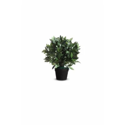 PAPERFLOW Kunstpflanze Lorbeerbaum 50 cm PALAU50