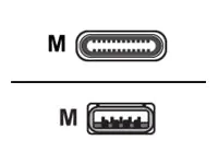 Huddly - USB-Kabel - USB Typ A (M) zu 24 pin USB-C (M) - USB 3.0 - 1.15 m