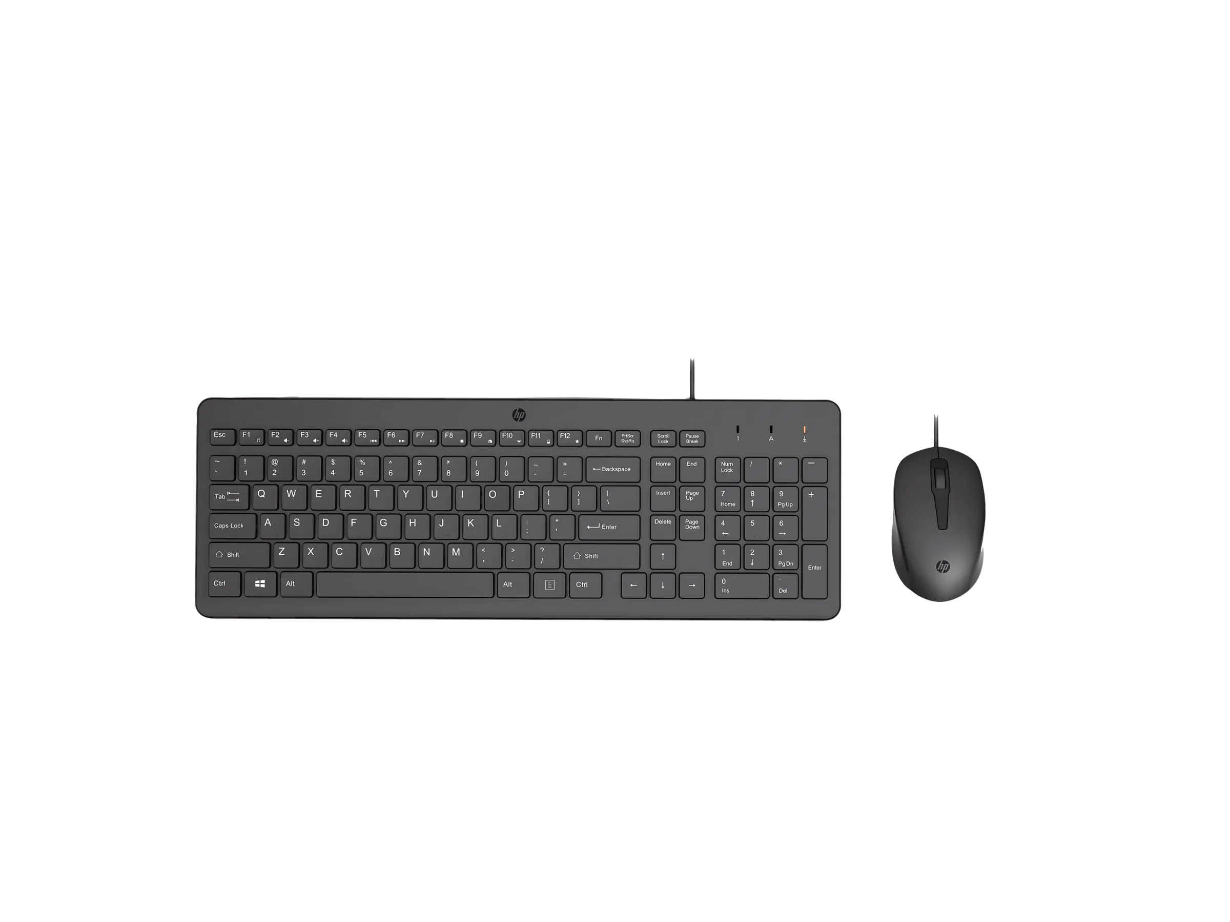 HP 150 - Tastatur-und-Maus-Set - USB - QWERTY