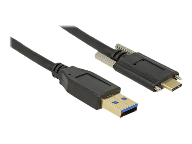 Delock - USB-Kabel - USB Typ A (M) bis USB-C (M) - USB 3.1 Gen 2 - 3 A - 1 m - Daumenschrauben - Schwarz