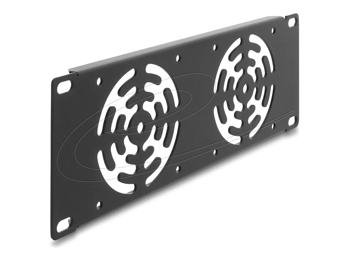 Delock Rackabdeckung - für 2 Lüfter, 80 x 80 mm - Dunkelgrau - 2U - 25.4 cm (10") 67432