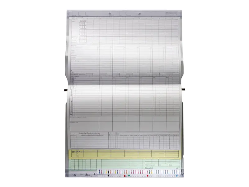 BOI Dokutech BOI - Hängeberichtsordner - 2 Teile - für A4 (210 x 297 mm) 9208-00541