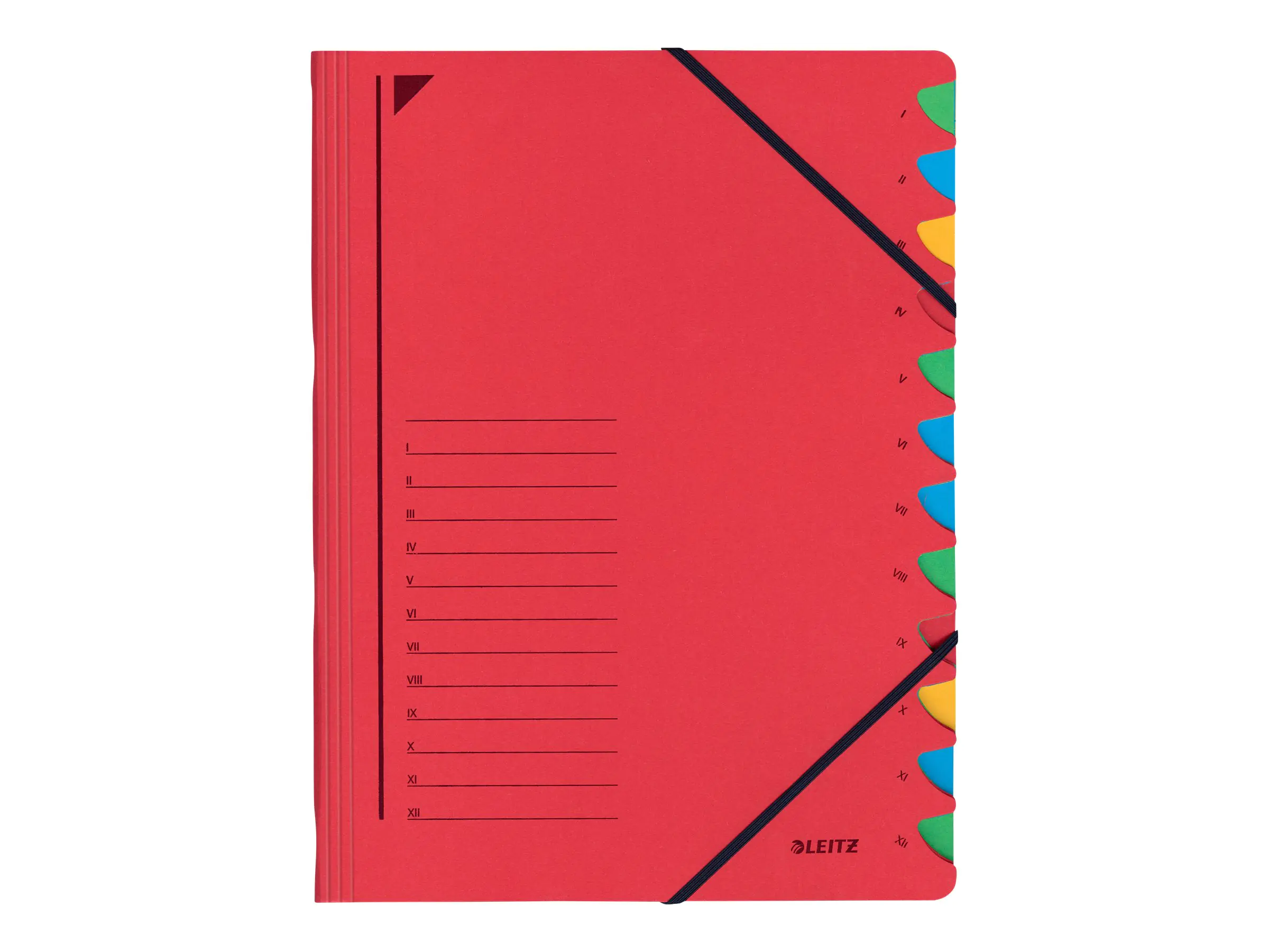 Esselte Leitz Trennelement - 12 Fächer - 12 Teile - vorgedruckt: I-XII - für A4 (210 x 297 mm) 39120025