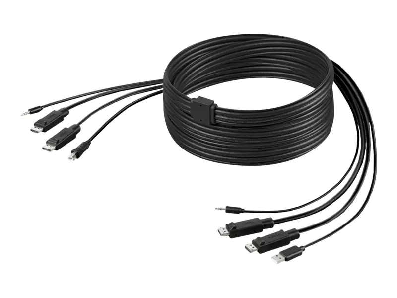 Belkin Secure KVM Combo Cable - Tastatur- / Video- / Maus- / Audio-Kabel - TAA-konform - USB, Mini-Stecker, DisplayPort (M) zu DisplayPort, USB Typ B, mini-phone stereo 3.5 mm (M) - 1.83 m