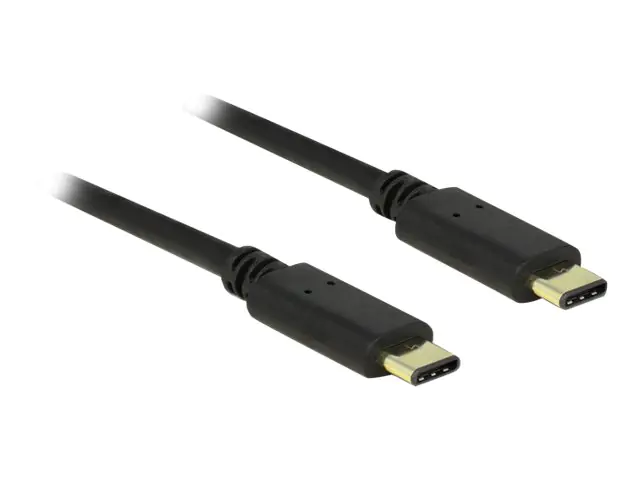 DeLOCK - USB-Kabel - USB-C (M) bis USB-C (M) - USB 2.0 - 3 A - 2 m - Schwarz