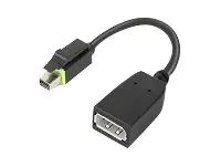 Lenovo - DisplayPort-Adapter - Mini DisplayPort (M) zu DisplayPort (W) - für ThinkCentre M75t Gen 2; ThinkStation P320; P330; P330 Gen 2; P348; P520; P620; P720; P920