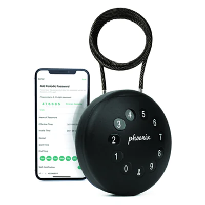 Phoenix Schlüsselbox Palm 10 x 10 x 5 cm (B x H x T) Stahl schwarz