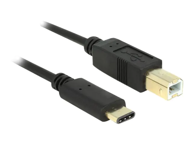 DeLOCK - USB-Kabel - USB-C (M) bis USB Typ B (M) - USB 2.0 - 3 A - 2 m - Schwarz