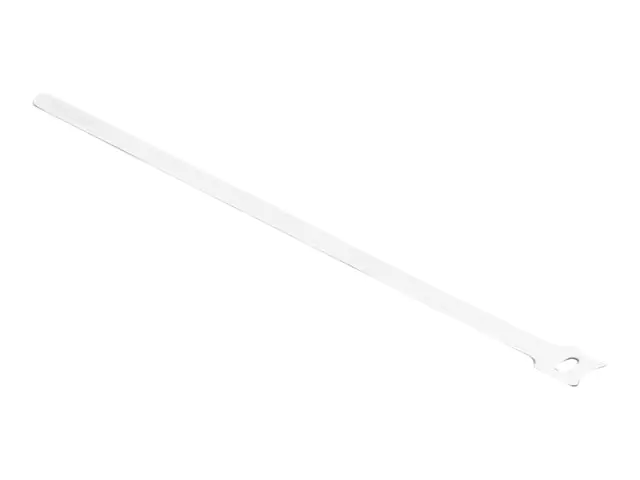 Delock - Kabelbinder - 30 cm - weiß (Packung mit 10)