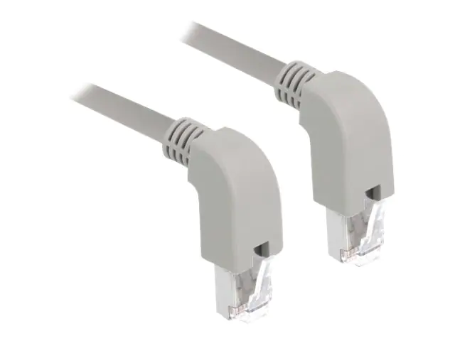 Delock - Patch-Kabel - RJ-45 (M) nach unten gewinkelt zu RJ-45 (M) nach unten gewinkelt - 2 m - S/FTP - CAT 6a - geschirmt, halogenfrei - Grau