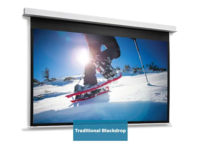 Projecta Da-Lite DescenderPro - Leinwand - Deckenmontage möglich - motorisiert - 230 V - 271