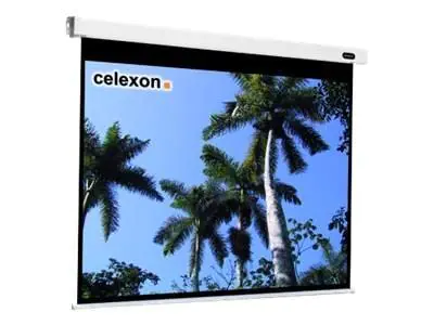 celexon Professional electric - Leinwand - Deckenmontage möglich, geeignet für Wandmontage -