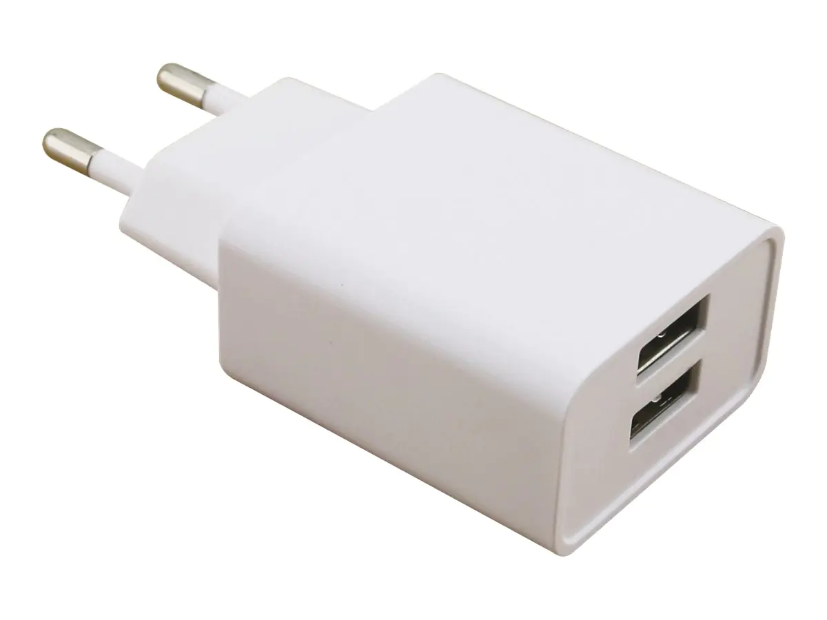 Realpower 2-Port wall charger - Netzteil - 2.1 A - 2 Ausgabeanschlussstellen (USB)