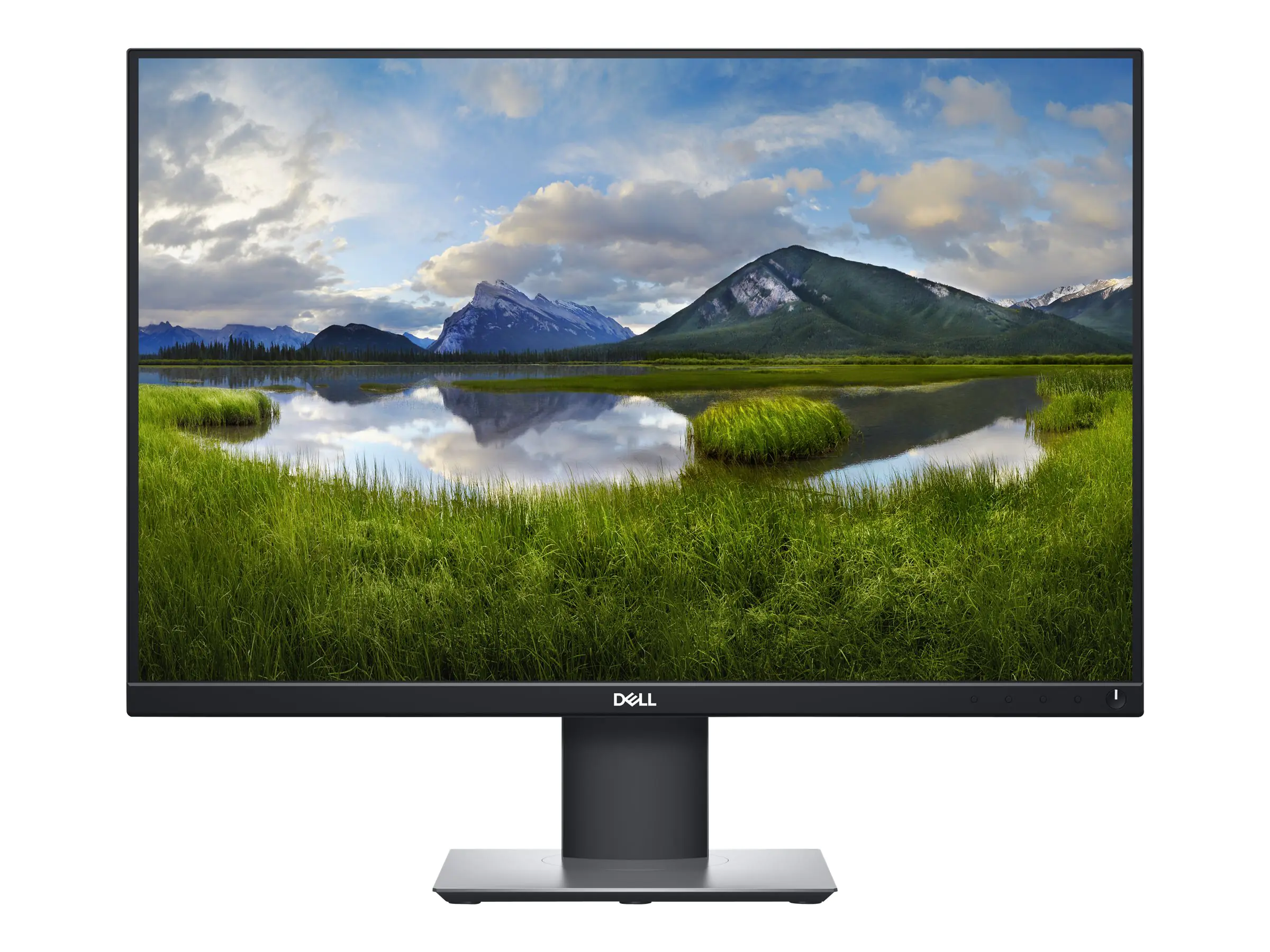 Dell P2421 - LED-Monitor - 61.13 cm (24.1") - 210-AWLE