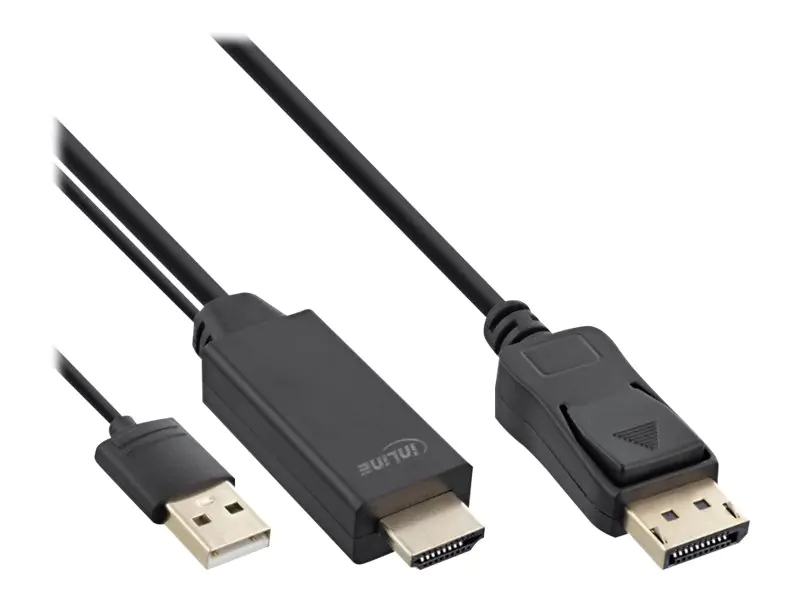InLine HDMI to DisplayPort Converter Cable - Videokabel - HDMI, USB (nur Strom) männlich zu DisplayPort männlich - 1 m - Schwarz - 4K Unterstützung, aktiv