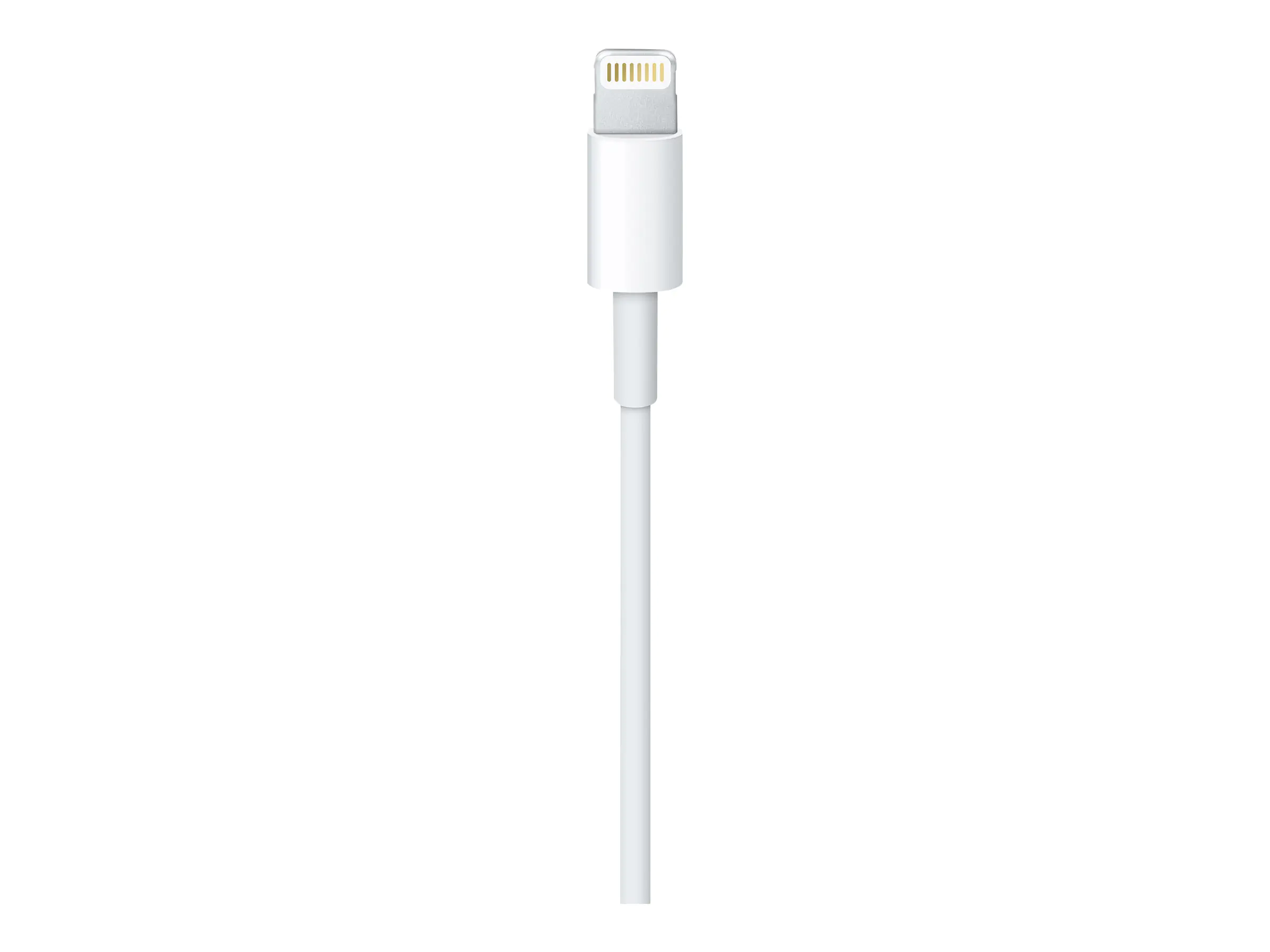Apple Lightning-Kabel - Lightning männlich MD818ZM/A