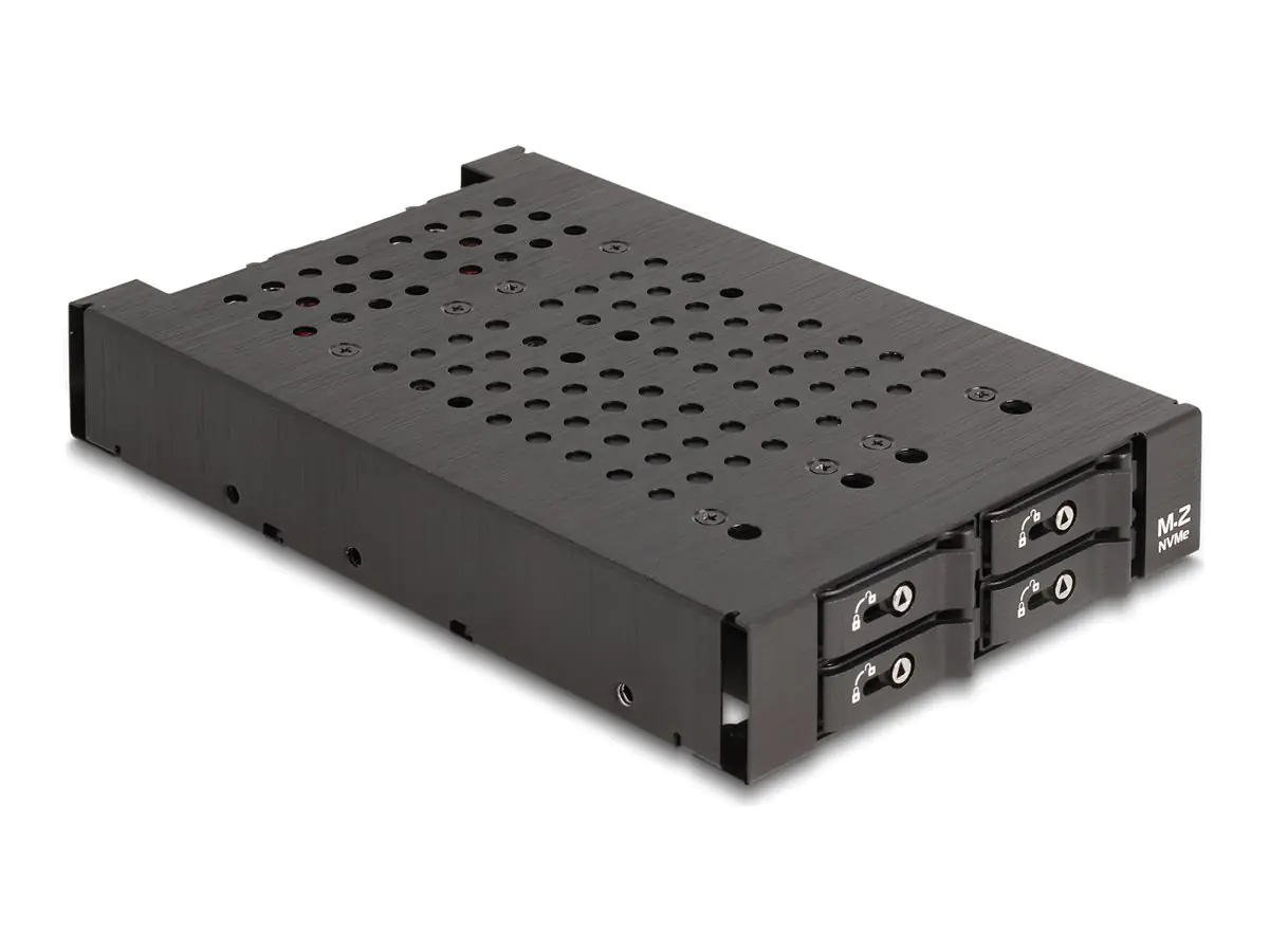 Delock Mobiles Speicher-Rack - M.2