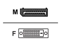Sharkoon - Display-Adapter - DisplayPort (M) bis DVI-D (W) - 15 cm - Schwarz