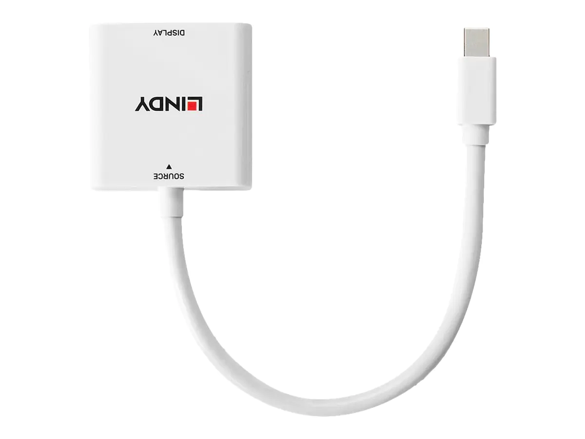 Lindy - Videoadapter - Mini DisplayPort (M) zu DVI (W) - DisplayPort 1.1 - 18 cm - passiver Konverter - Schwarz
