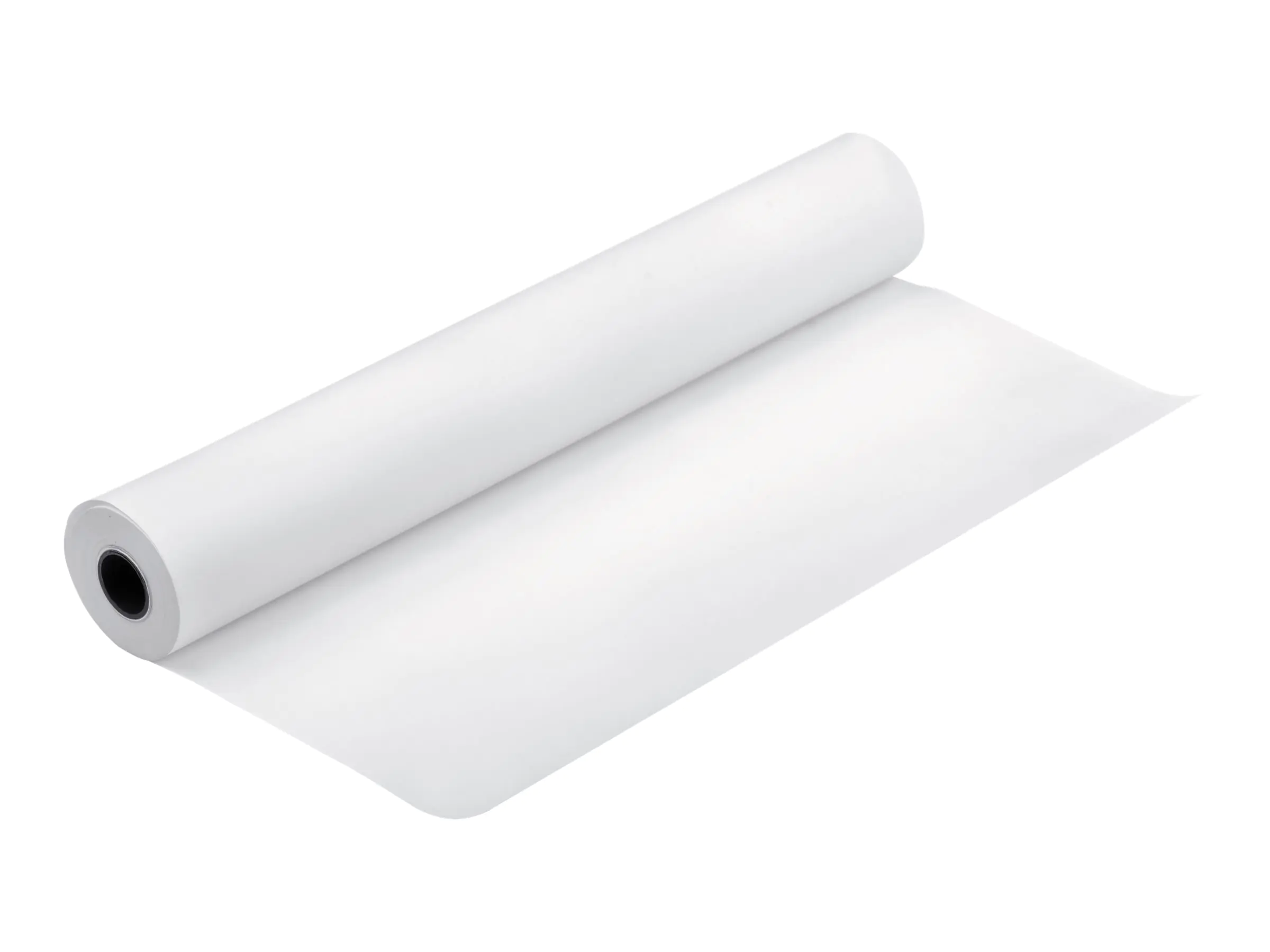 Epson LFP-Papier C13S041102 DIN A2 15 m 110 g/m² für Tintenstrahldrucker matt 1 Rolle