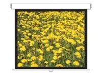 Optoma Panoview Pull Down Manual DS-3120PMG+ - Leinwand - Deckenmontage möglich, geeignet für Wandmontage - 305 cm (120") - 4:3 - Matte White