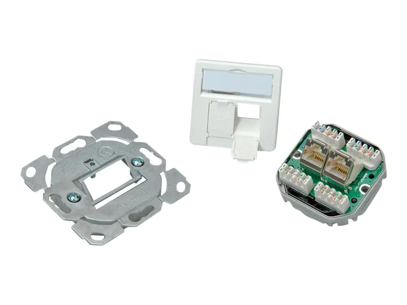 Telegärtner AMJ45 - Ausgang - CAT 6e - RJ-45 X 2 - Alpine White