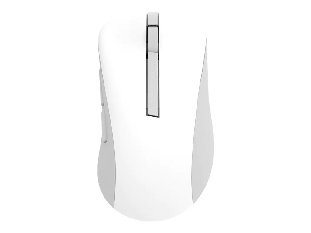 ASUS MD102 - Maus - ergonomisch - optisch - 5 Tasten - kabellos - Bluetooth, 2.4 GHz - kabellose