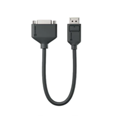 ALOGIC Elements Series - Adapterkabel - Single Link - DisplayPort (M) eingerastet zu DVI-D (W) schraubbar - 20 cm - 1080p-Unterstützung, 60 Hz