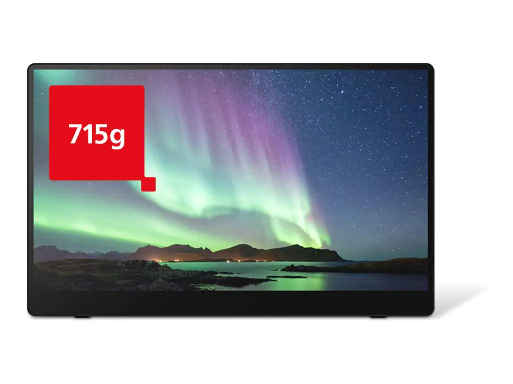 Fsas Technologies Ricoh 150BW - OLED-Monitor - 39.6 cm (15.6") (16" sichtbar) 514910