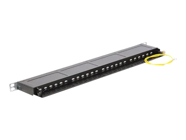 Delock Patch Panel - RJ-45 X 24 - Jet Black, RAL 9005 - 0.5U - 48.3 cm (19")