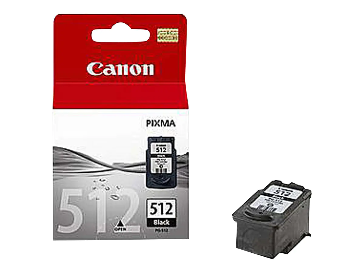 Canon Druckkopf 2969B001 PG-512 schwarz 401 Seiten 15 ml 1 Stück