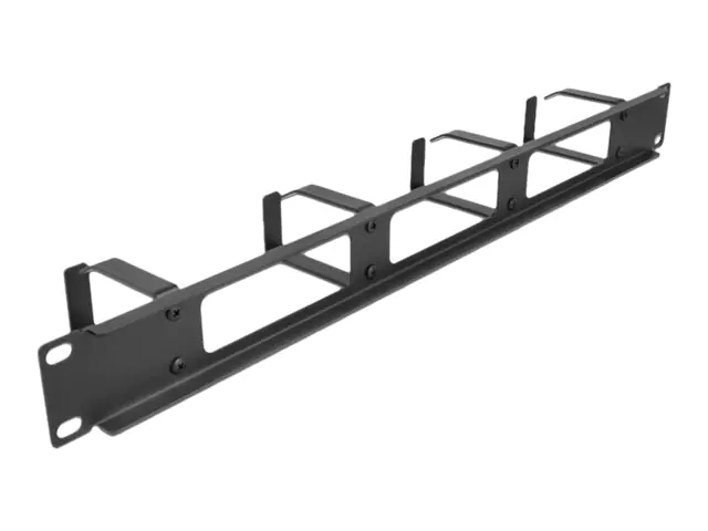 Delock Kabelführungsplatte für Schaltschrank - Schwarz - 1U - 48.3 cm (19")