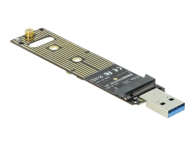 Delock - Speicher-Controller - M.2 - M.2 NVMe Card - USB 3.1 (Gen 2)