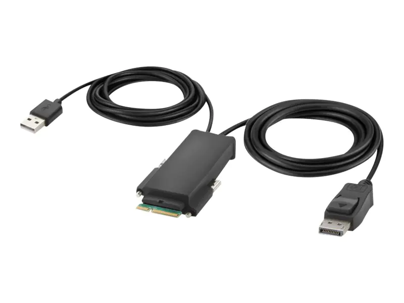 Belkin Secure Modular DP Single Head Host Cable - DisplayPort-Kabel - TAA-konform - 1.83 m - 4K Unterstützung, aktiv