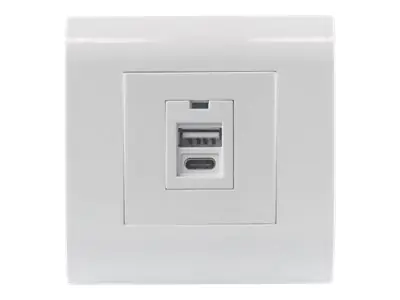 Intellinet Unterputzdose mit einem USB Typ A-Ladeport und einem USB Typ C-Ladeport, Zwei USB-Ladeports, 5 V / 2,1 A Ausgangsleistung, Frontblende im europäischen Format 80 x 80 mm - Ausgang - oberflächenbündig montierbar - USB Type A, USB Typ C