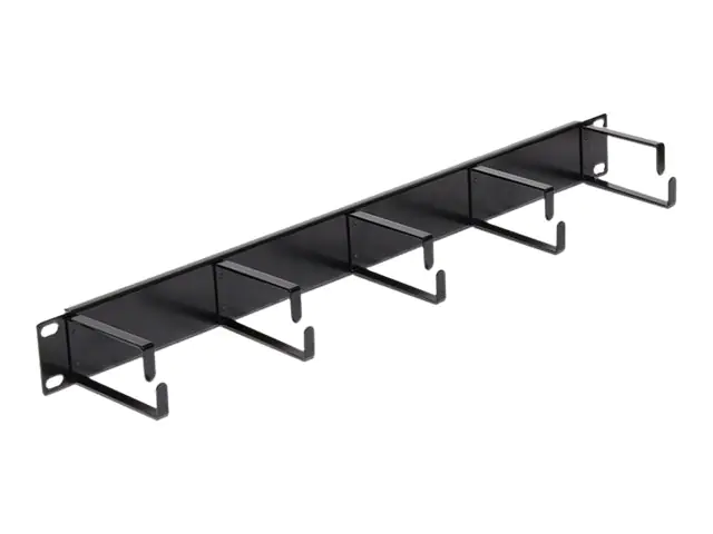 Delock Kabelmanagement - Jet Black, RAL 9005 - 1U - 48.3 cm (19") 42496