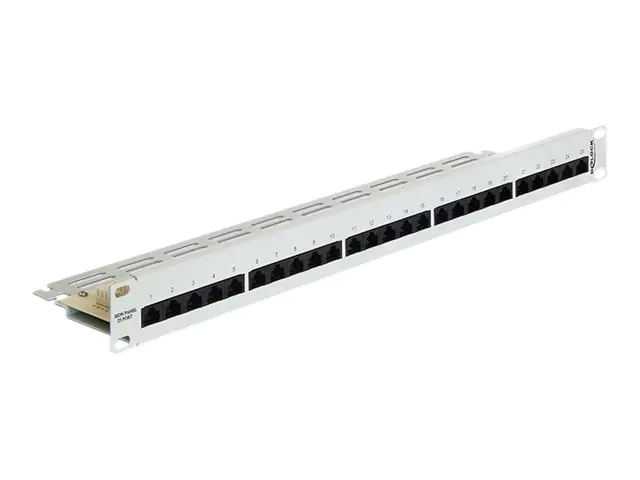 Delock Patch Panel - CAT 3 - RJ-45 X 25 - Hellgrau, RAL 7035 - 1U - 48.3 cm (19")