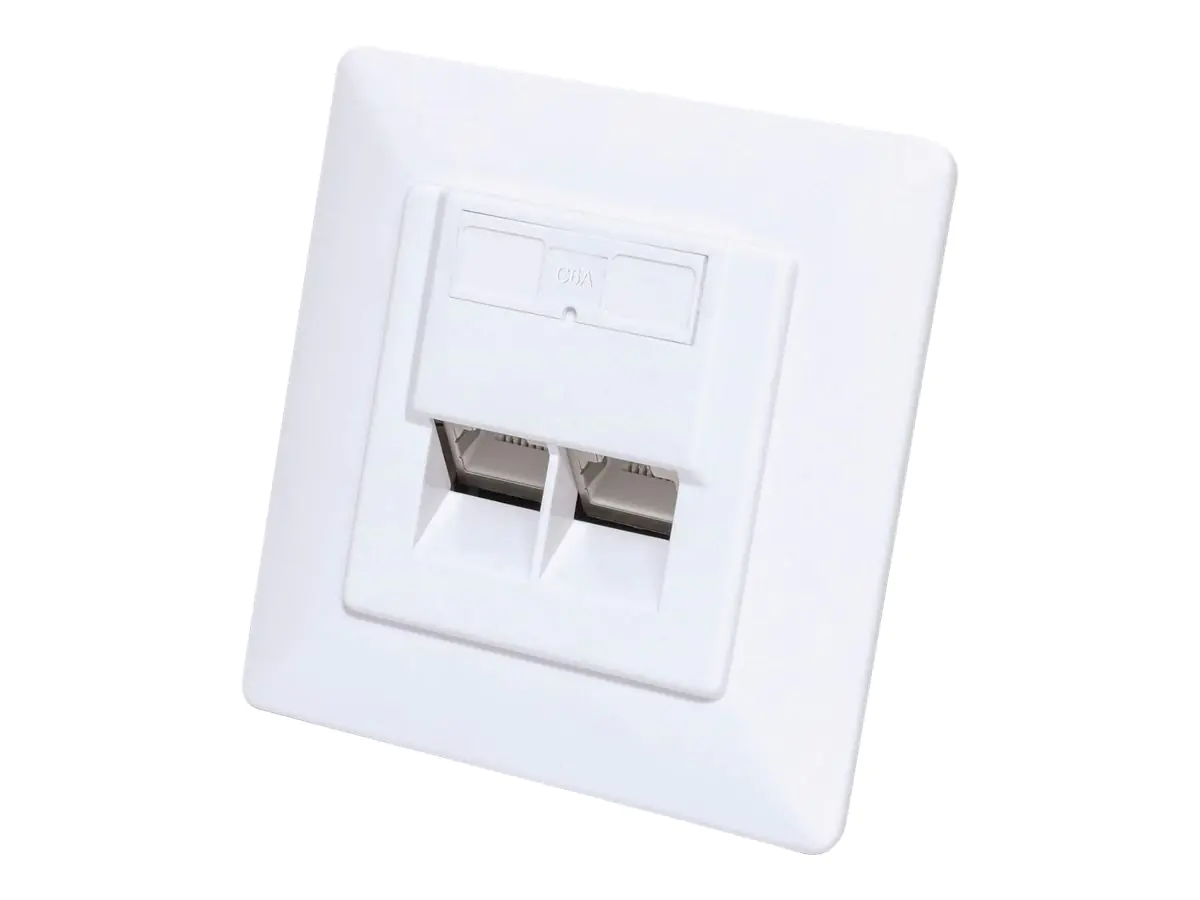 Intellinet - Wandplatte - CAT 6 10G - mit Beschriftungsfenster - RJ 45 - abgewinkelt - 2 Netzwerksteckdosen - RAL 9003, Signal White