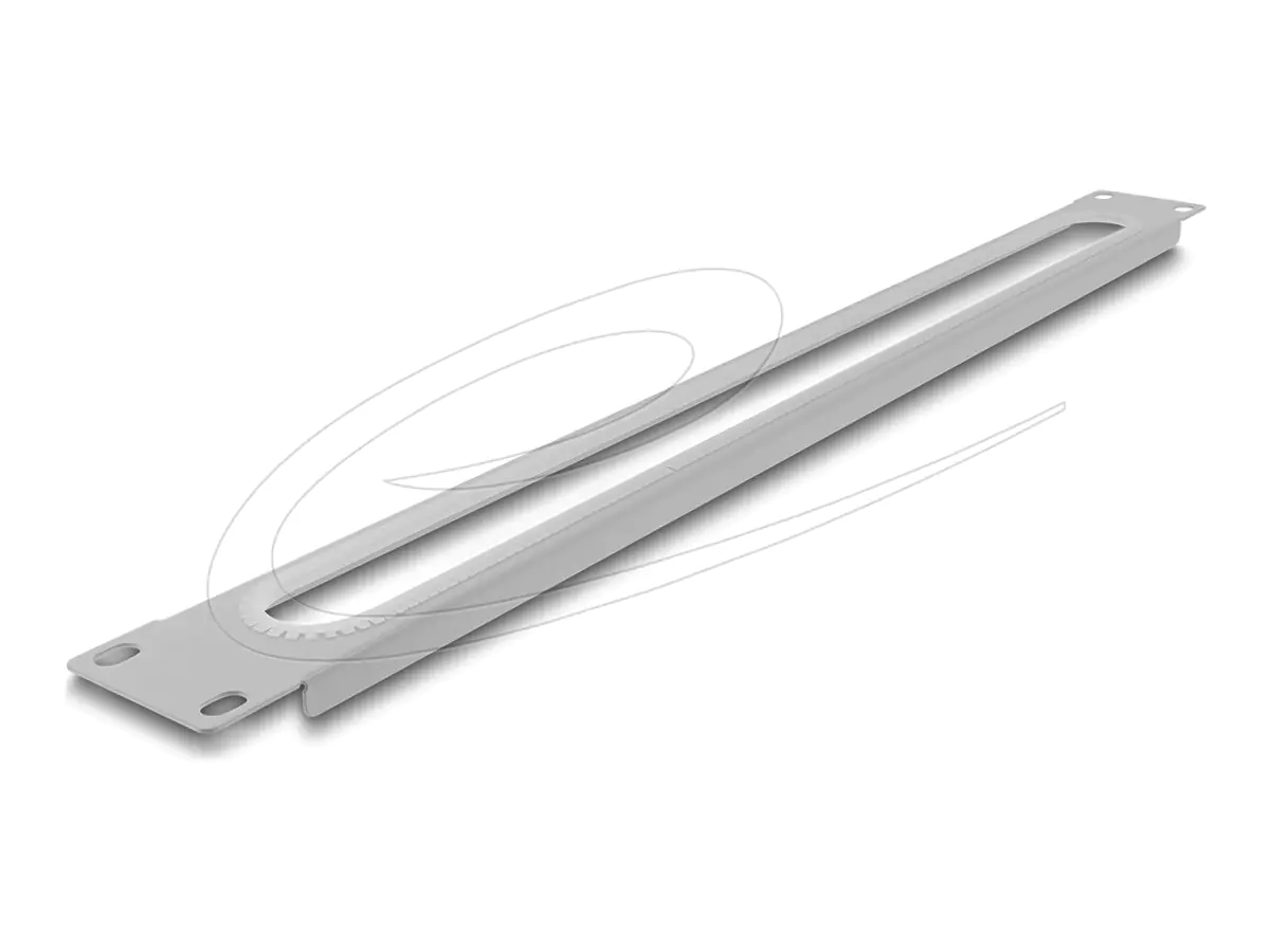 Delock Verlegetafel für Rack-Kabelmanagement - mit Öffnung und Kantenschutz - gray (RAL 7035) 67276