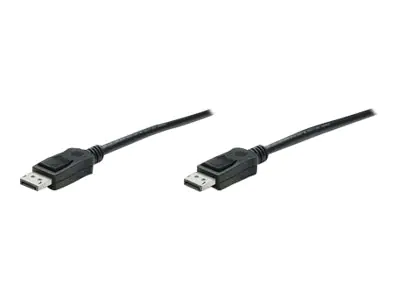 TECHly - DisplayPort-Kabel - DisplayPort (M) zu DisplayPort (M) - DisplayPort 1.4 - 1 m - 8K Unterstützung, FEC - Schwarz