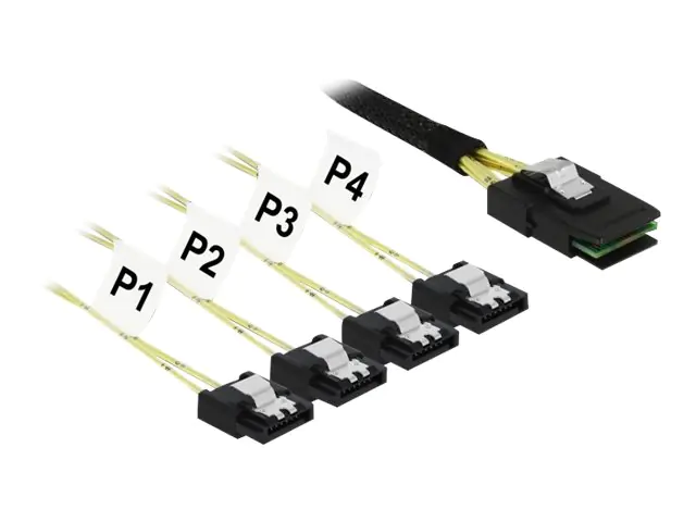 Delock - SATA- / SAS-Kabel - SAS 6Gbit/s - Mini SAS (SFF-8087) (M) zu 4 x SATA (R) - 1 m