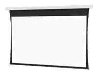 Projecta Da-Lite Tensioned DescenderPro - Leinwand - Deckenmontage möglich - 230 V - 343 cm