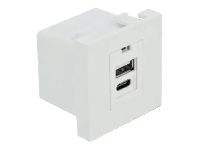 Delock - Easy 45 - USB-Ausgang - USB, USB Typ-C - einfach - 2.1 A - weiß, RAL 9003