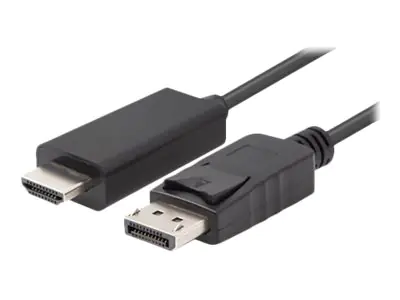 Lanberg Adapterkabel - DisplayPort männlich