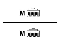 Mitel - Netzwerkkabel - RJ-45 (M) zu RJ-45 (M) - 6 m