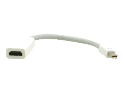 Kramer Electronics Kramer ADC-MDP/HF - Videoadapter - Mini DisplayPort